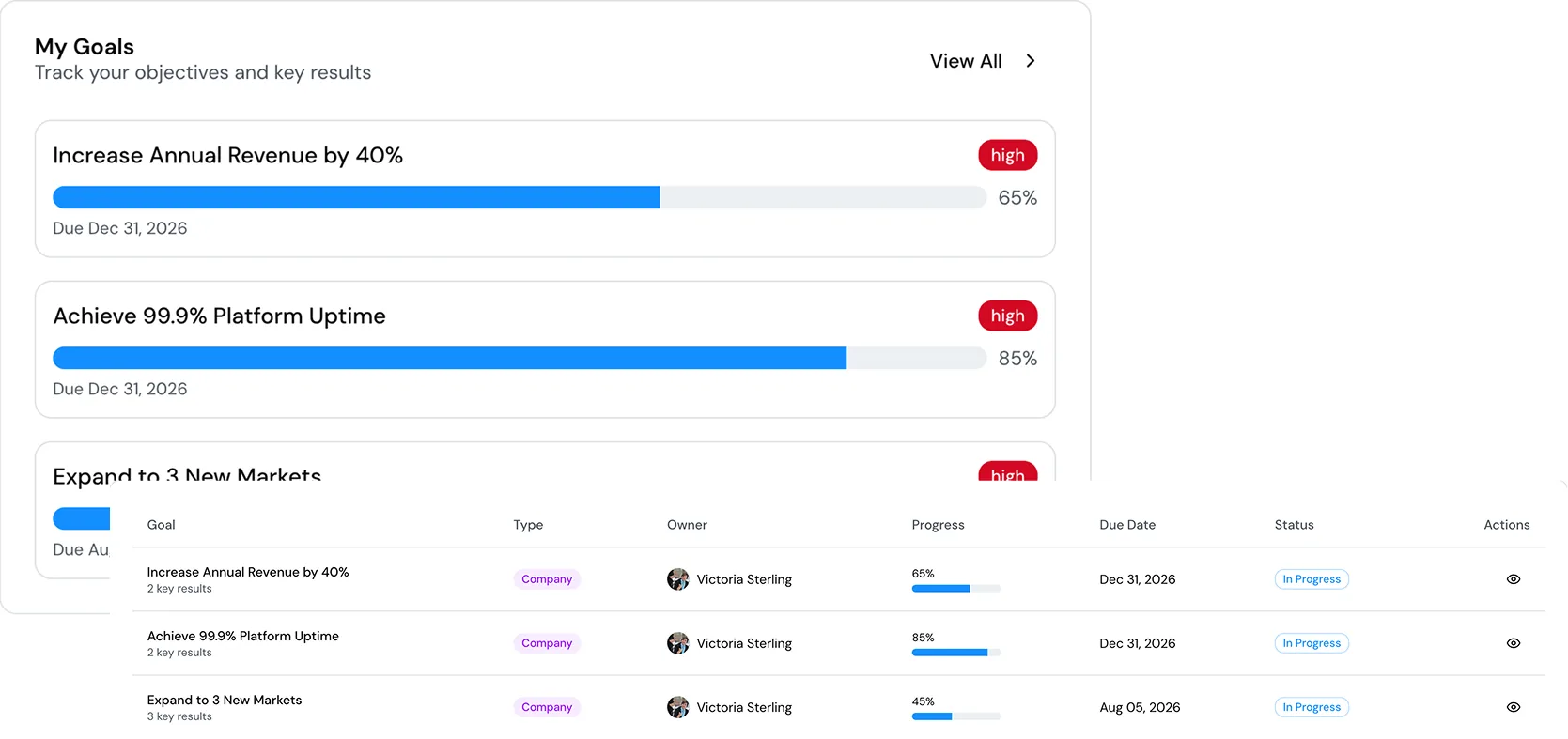 Company goals with key results, owners and progress
